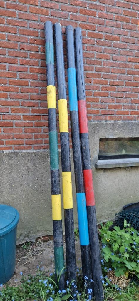 Springpalen paard, Animaux & Accessoires, Chevaux