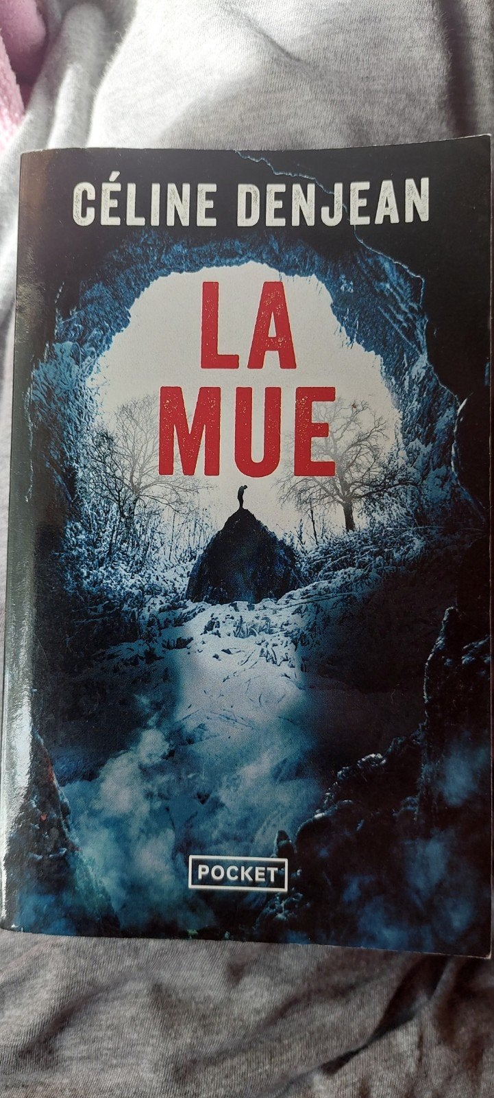 La Mue  Céline  Denjeam, Enlèvement
