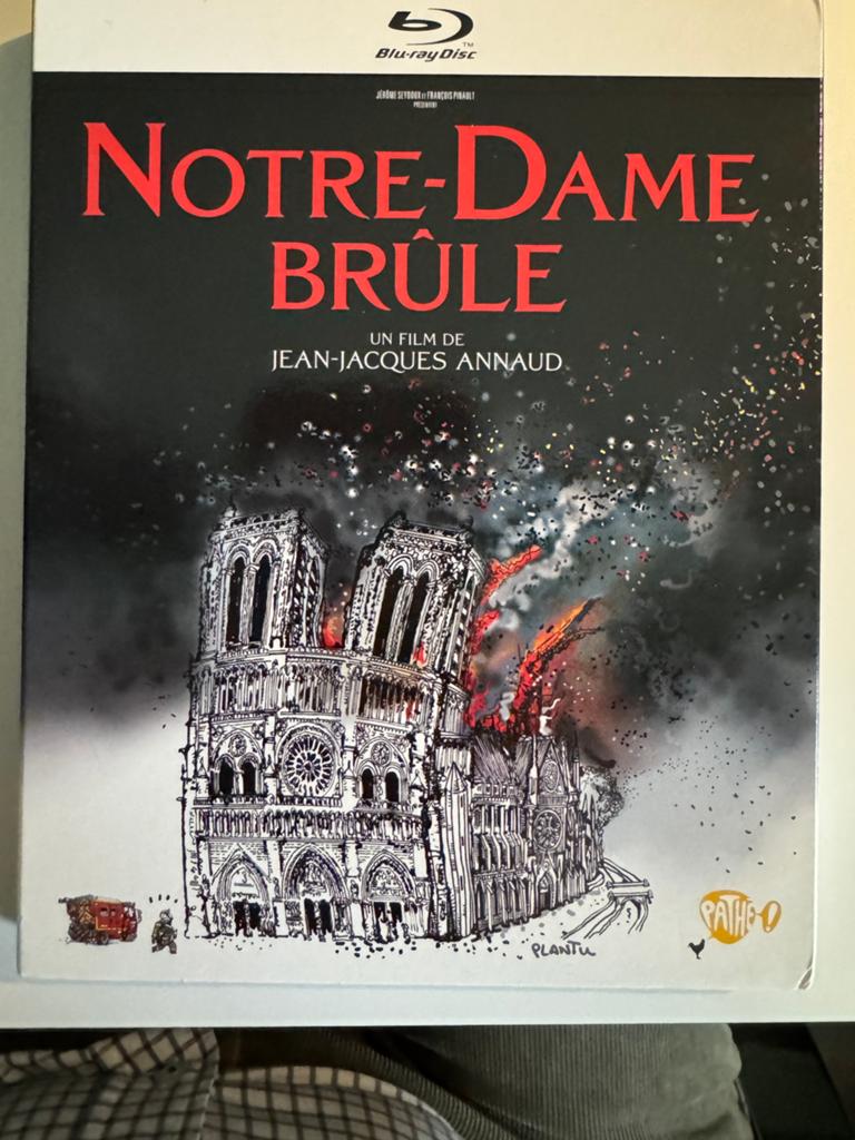 Notre-Dame brûle, Ophalen of Verzenden, Zo goed als nieuw