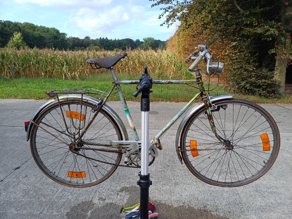 De Groende Leeuw retrofiets, Vélos & Vélomoteurs, Enlèvement