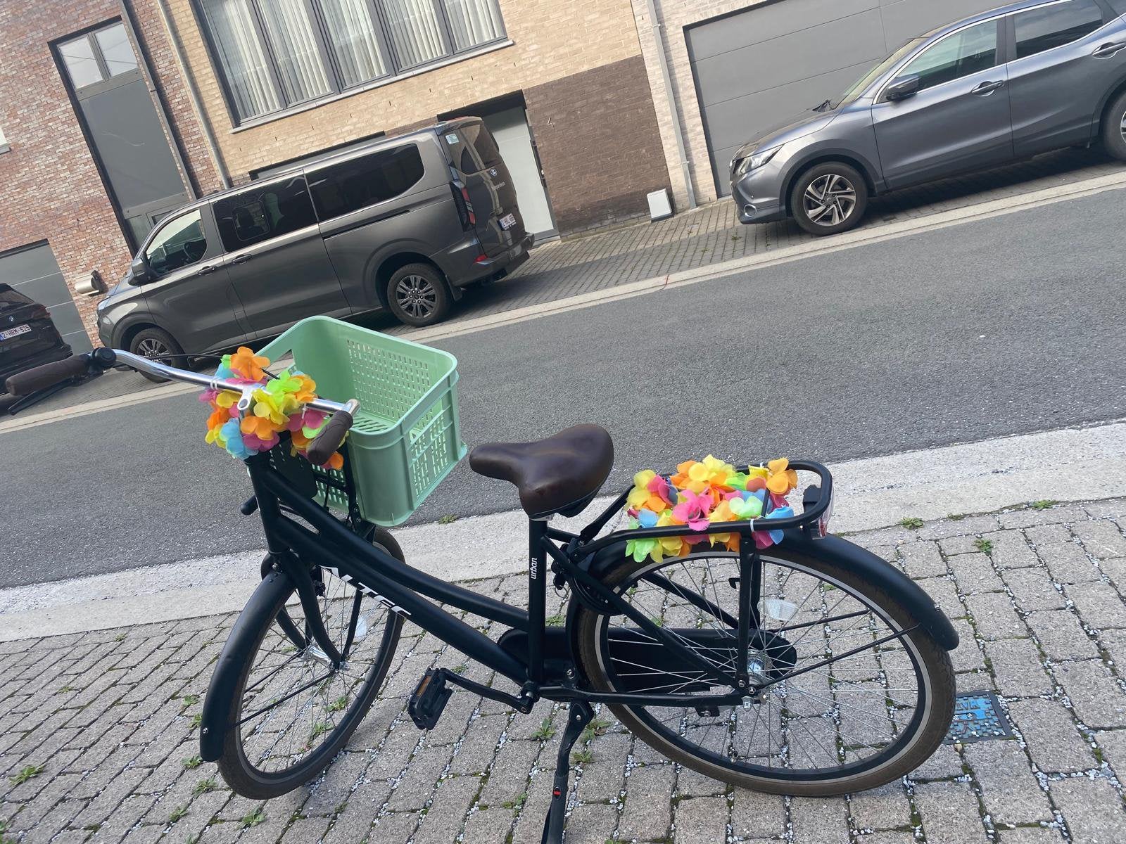 Meisjes fiets in TOPSTAAT, Ophalen, Nieuw