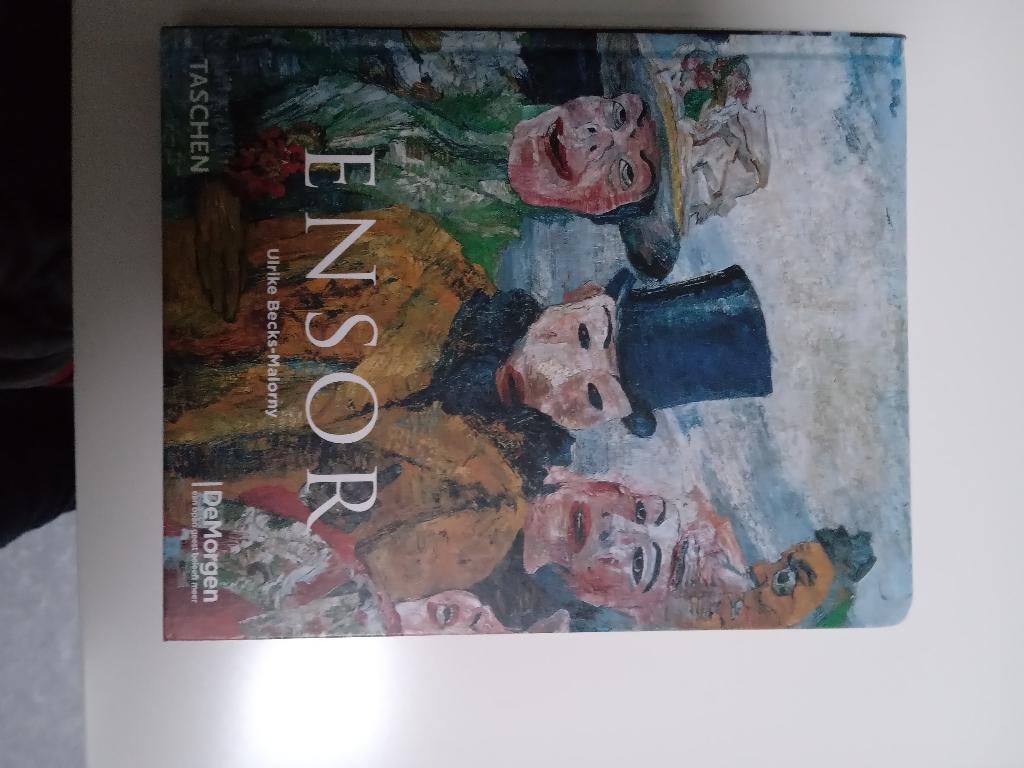 ensor boekje, Ophalen of Verzenden, Gelezen, Overige onderwerpen