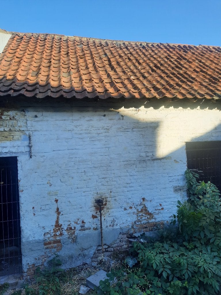 boomse pannen, Ophalen, Gebruikt, 15 m² of meer, Dakpannen