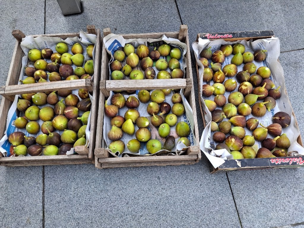 Figues fraîches, Enlèvement
