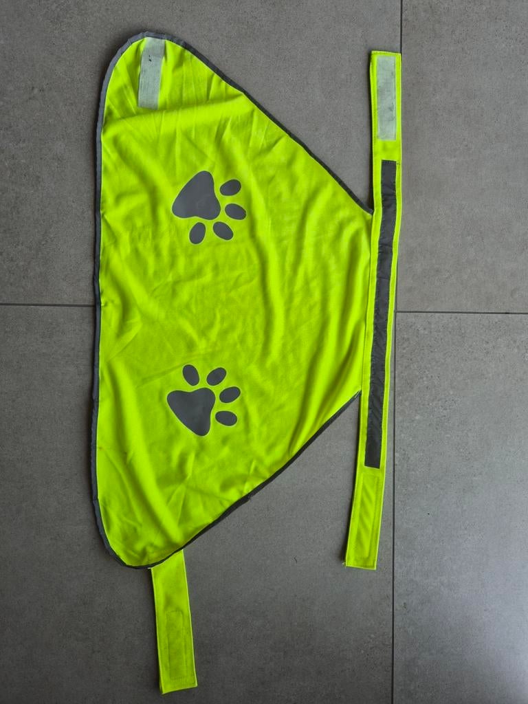 Fluohesje voor hond, Ophalen of Verzenden