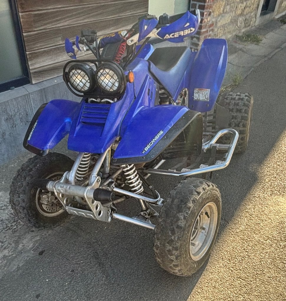 Yamaha Warrior 350, Motoren, 348 cc, 1 cilinder, 12 t/m 35 kW