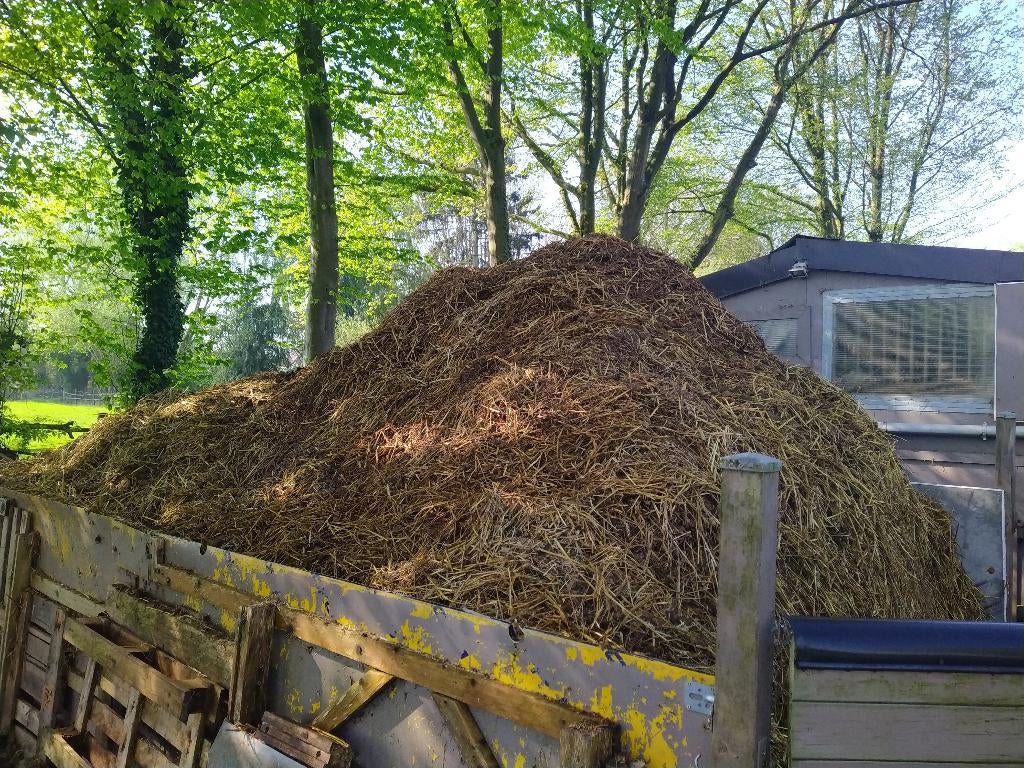 Fumier de cheval gratuit, Enlèvement, Fumier