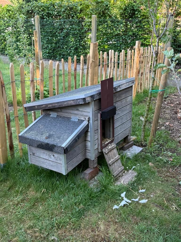 Kippenhok en toebehoren, Dieren en Toebehoren, Ophalen, Gebruikt, Kippenhok of Kippenren