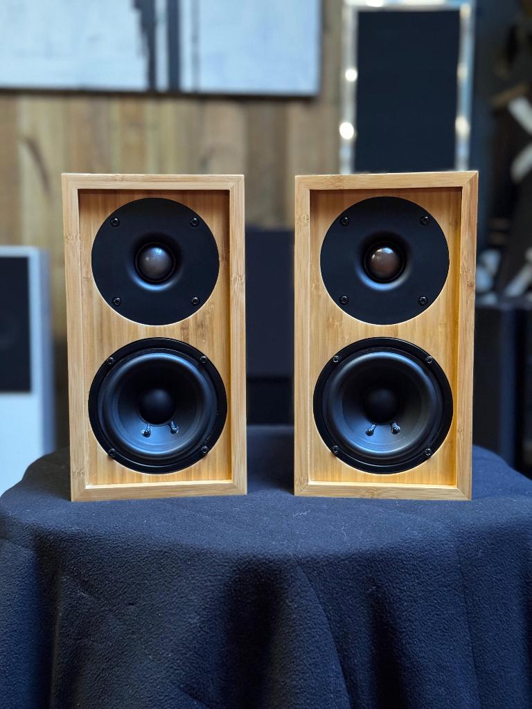 iFi audio Retro LS3.5, Ophalen, Gebruikt, Front, Rear of Stereo speakers