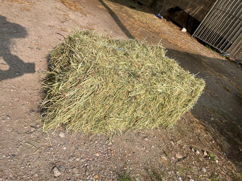 Nieuw hooi beschikbaar kleine balen, Ophalen