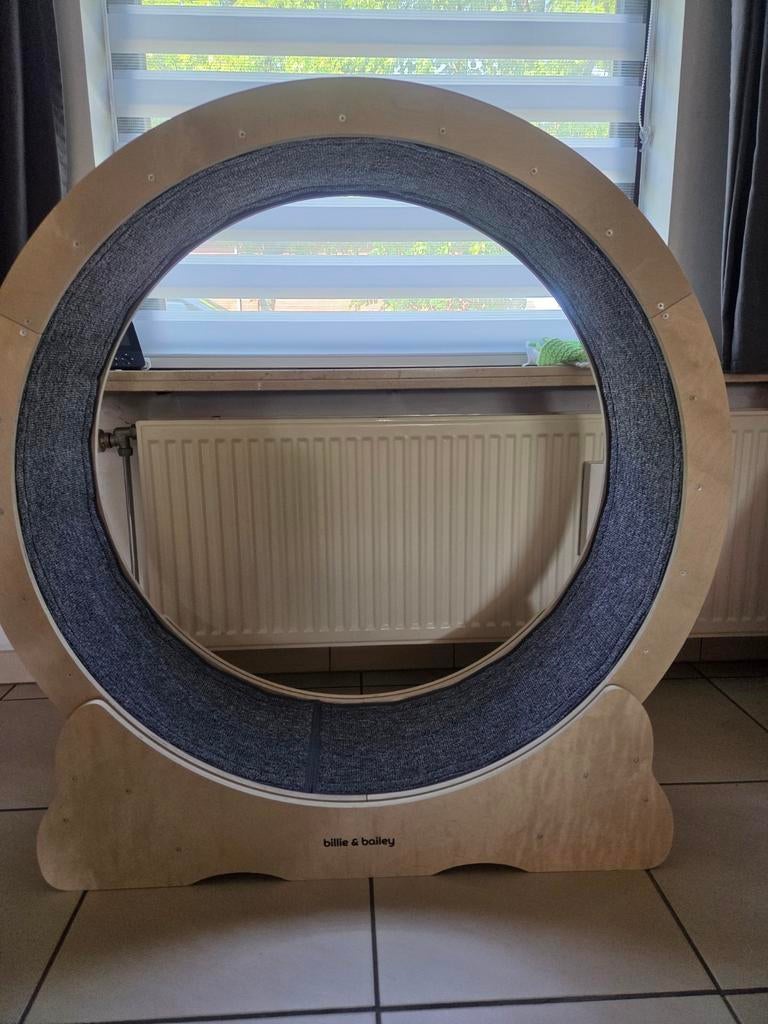 Looprad voor katten, Enlèvement