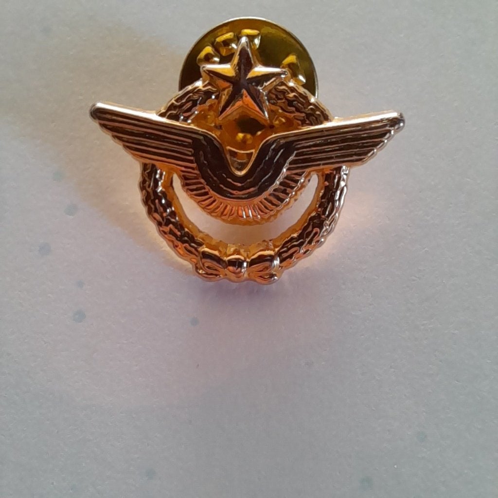 épingle insigne brevet pilote armée de l'air Pichard, Enlèvement ou Envoi, Armée de l'air
