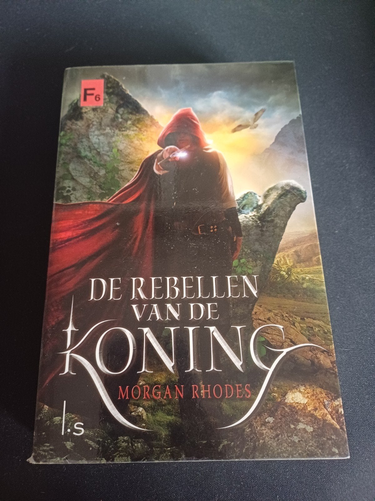 Morgan Rhodes - De rebellen van de koning, Ophalen of Verzenden, Morgan Rhodes