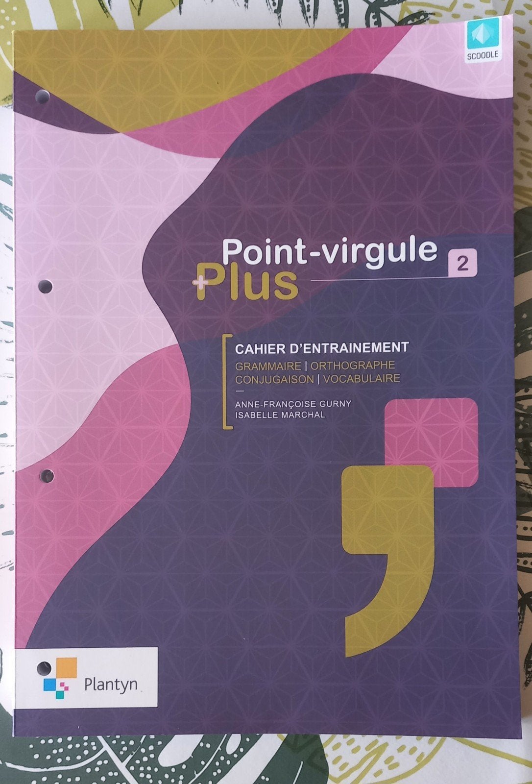 Point-virgule Plus 2, Boeken, Studieboeken en Cursussen, Gelezen, Overige niveaus, Ophalen of Verzenden