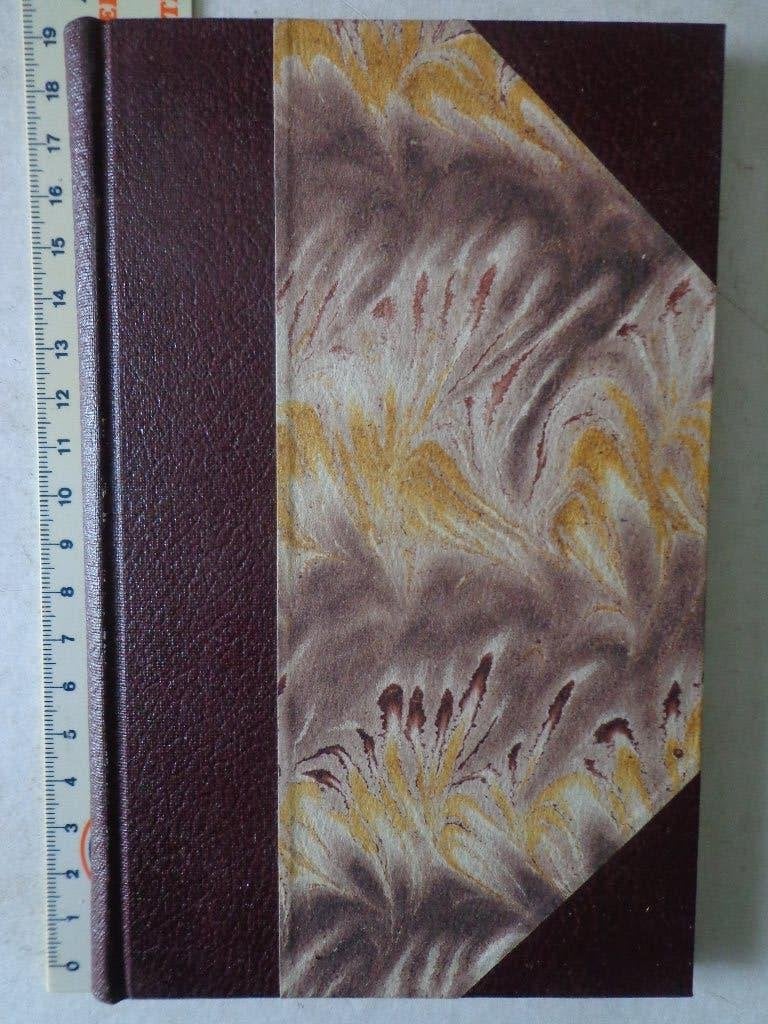 livre Peintres et Aquafortistes Wallons Luca Rizzardi 1906, Peinture et dessin, Enlèvement ou Envoi, Luca Rizzardi, Utilisé