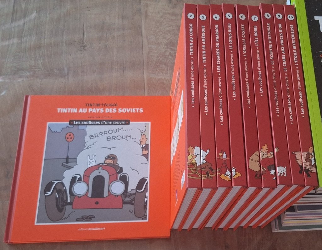 10 Tintin coulisses d'une oeuvre complet, Livres, BD, Neuf, Enlèvement