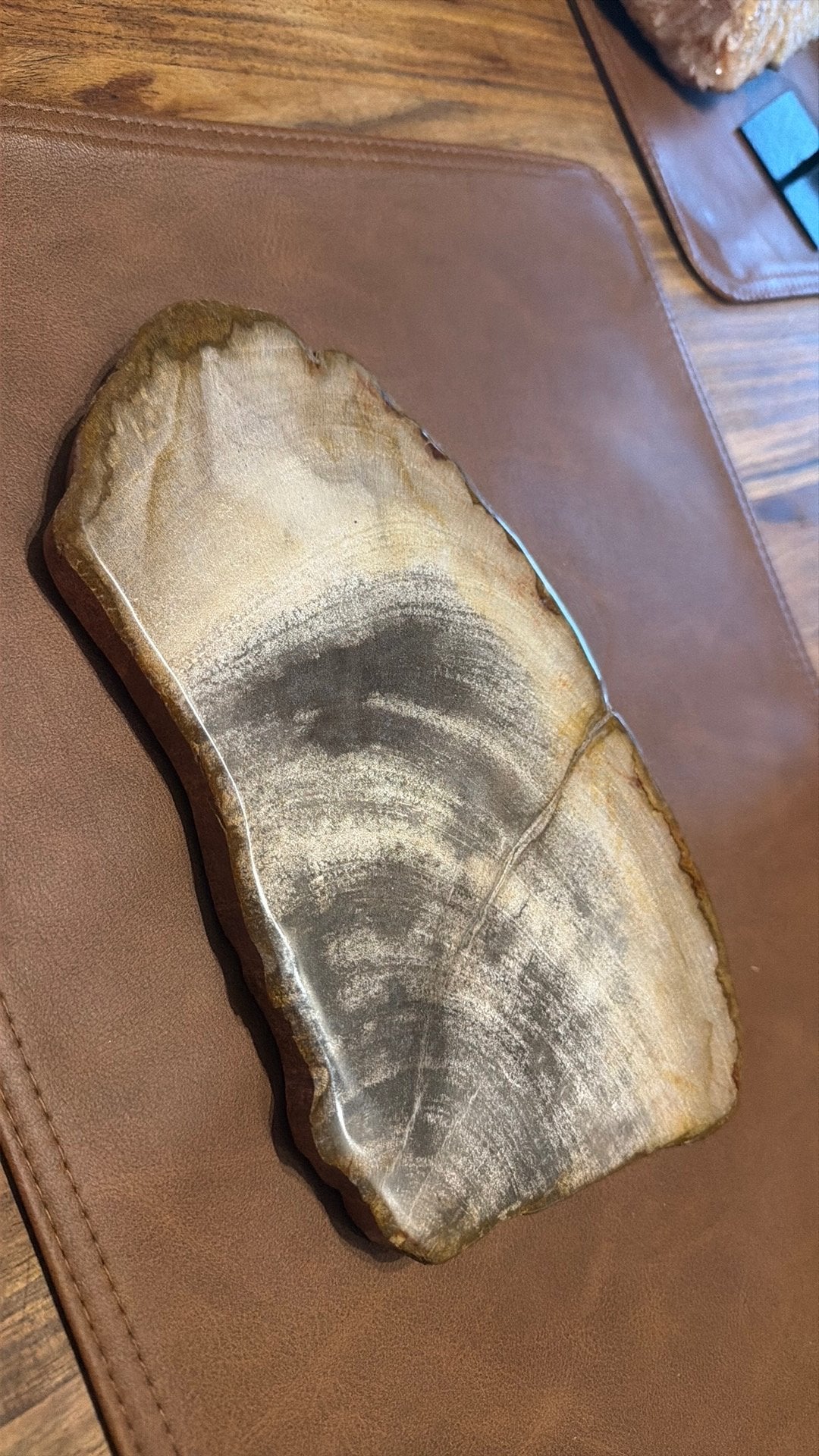 Groot stuk versteend hout, Verzenden