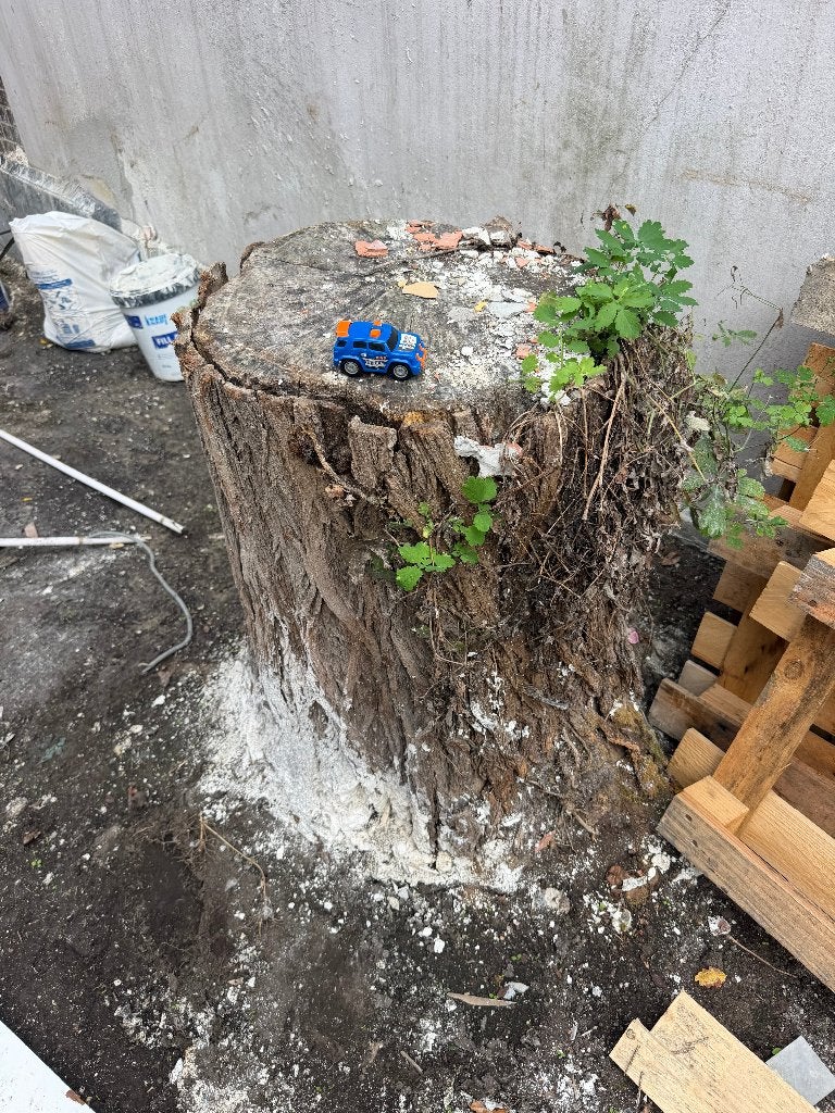 jardin - souche d'arbre à retirer, Jardin & Terrasse, Enlèvement, Utilisé