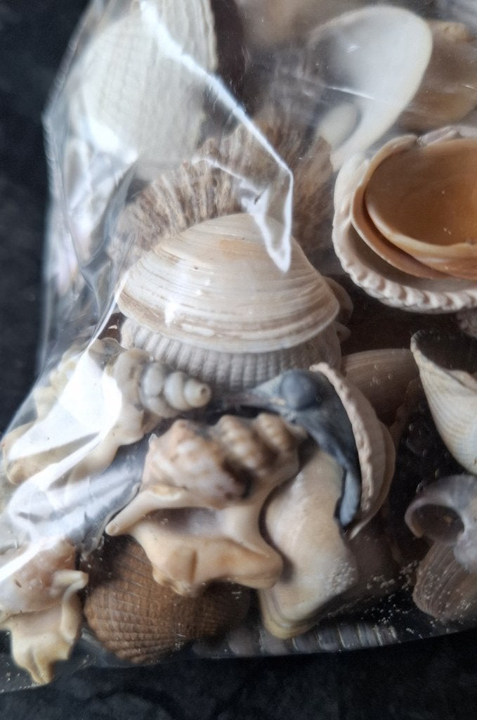 Sac de coquillages de 370 gr pour décorer, Overige materialen, Overige stijlen, Ophalen of Verzenden, Zo goed als nieuw