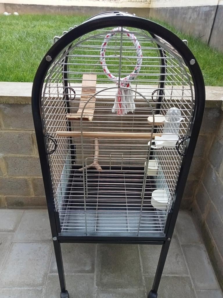 Grande cage avec tous les accessoires, Animaux & Accessoires, Oiseaux | Cages & Volières, Enlèvement, Comme neuf, Cage à oiseaux