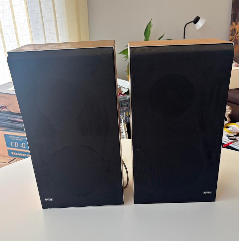 2 Enceintes vintage Bang & Olufsen Beovox S30 fonctionnelles, Ophalen, Gebruikt, Front, Rear of Stereo speakers, Overige merken
