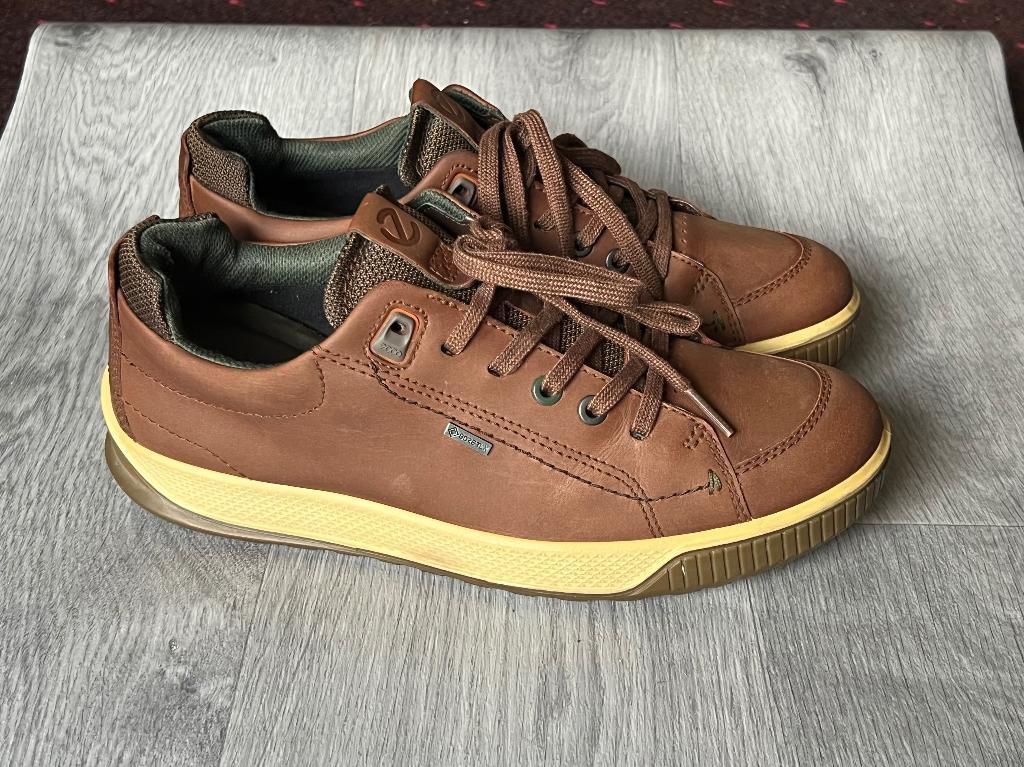 Chaussures hommes., Vêtements | Hommes, Porté, Envoi, Chaussures de marche, ECCO