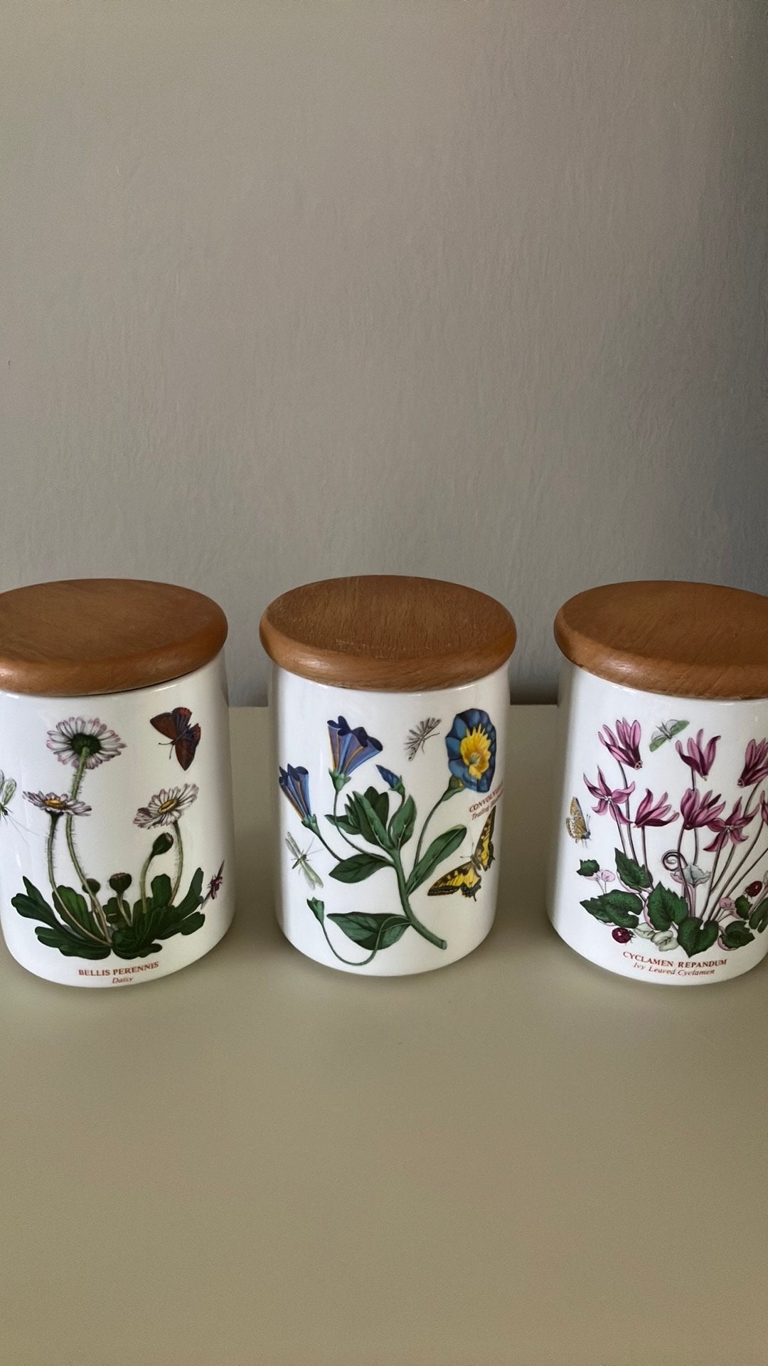 3  vintage potjes  ( the botanic garden), Ophalen, Zo goed als nieuw, Aardewerk