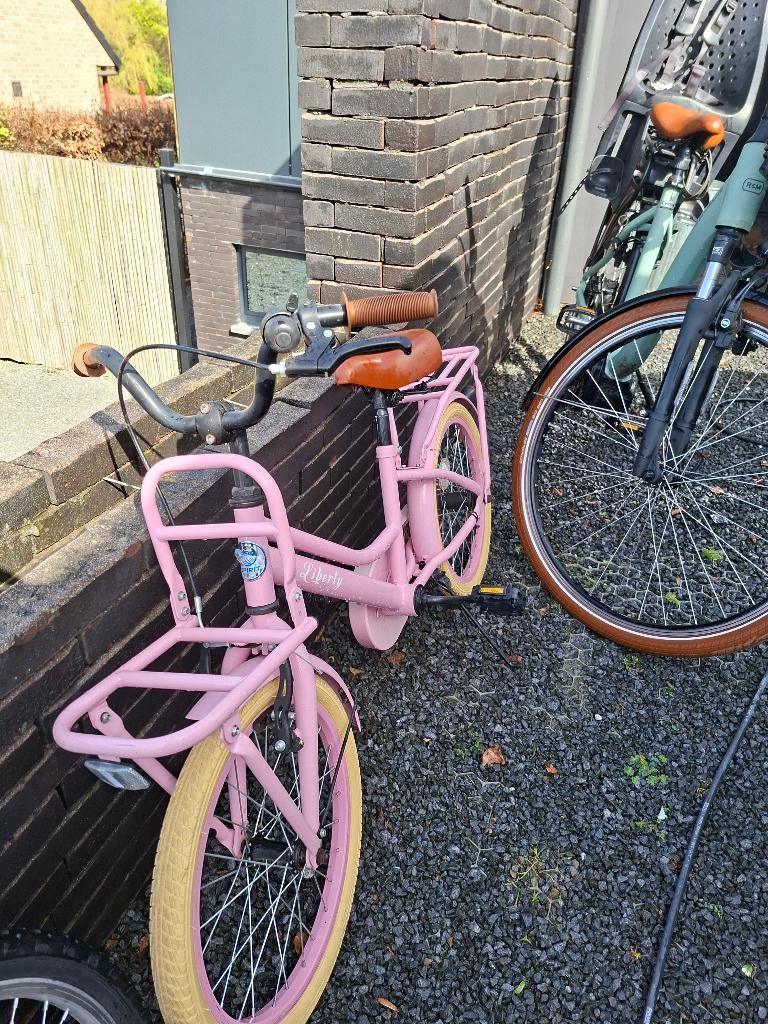 Leuke kinder transportfiets 20 inch – roze – met voordrager, Fietsen en Brommers, Ophalen, Gebruikt, 16 tot 20 inch