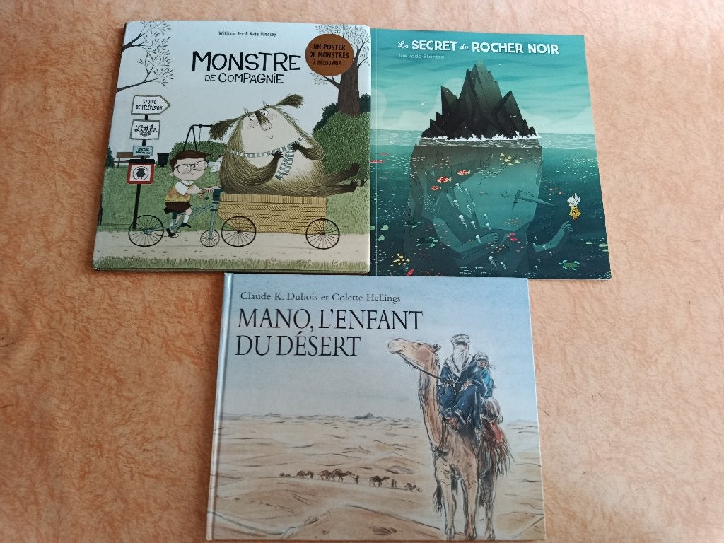 Lot de 3 albums jeunesse en français dès 4 ans, Garçon ou Fille, Enlèvement ou Envoi, Fiction général, Comme neuf