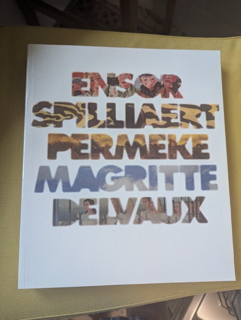 Van Ensor tot Delvaux – Prachtig Kunstboek / Catalogus, Willy Van den Bussche, Ophalen of Verzenden, Zo goed als nieuw, Schilder- en Tekenkunst