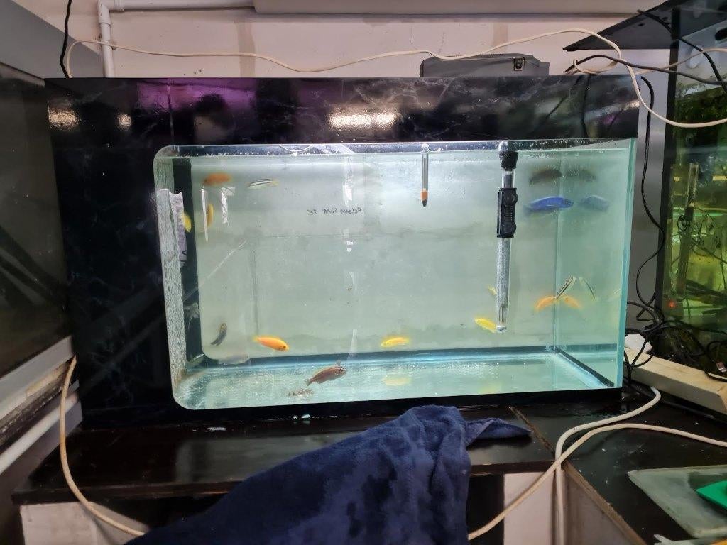 mooi aquarium, Dieren en Toebehoren, Vissen | Aquaria en Toebehoren, Zo goed als nieuw, Leeg aquarium, Inclusief deksel, Inclusief toebehoren