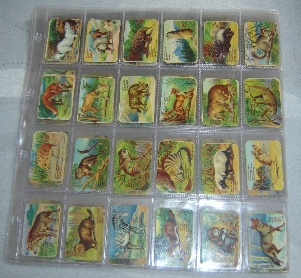 Chromos Dieren Reliëf Klein in Sleeves 150st., Verzamelen, Foto's en Prenten, Gebruikt, Verzenden, Voor 1940, Prent