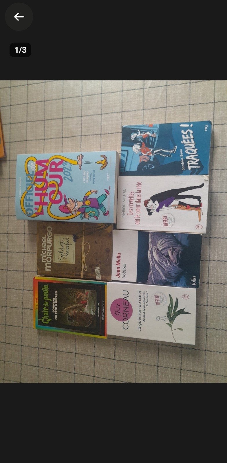 lot de livres neuf,livre de poche, chair de poule, Livres, Envoi, Neuf