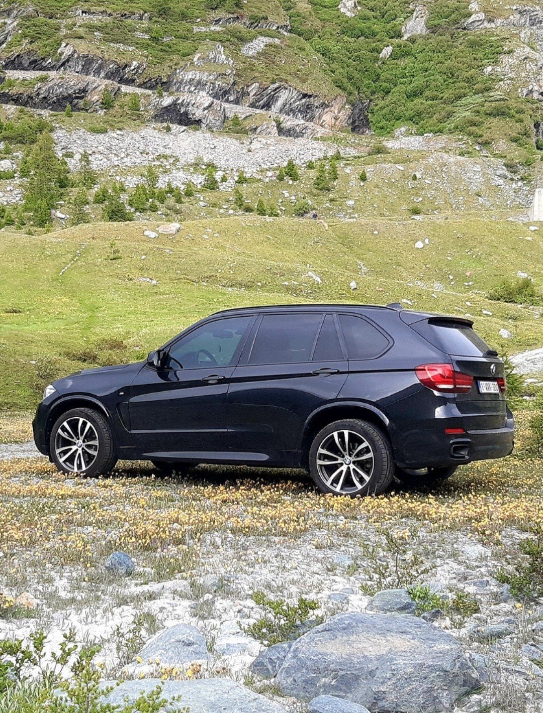 Originele breedset 20" velgen voor BMW X5 X6, Ophalen, Winterbanden, Velg(en)