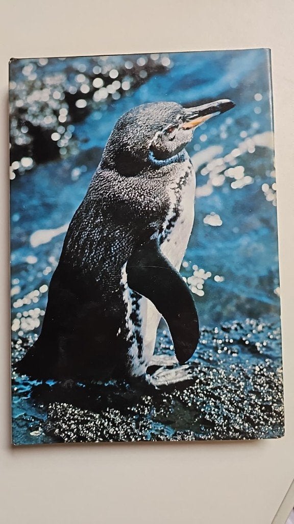 Artis : Zoo-Galapagos, Ophalen