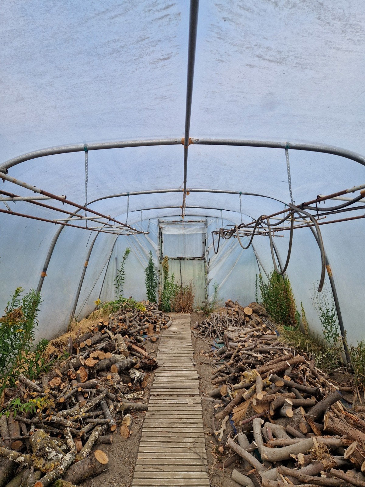 serre tunnel, Jardin & Terrasse, Serres, Enlèvement