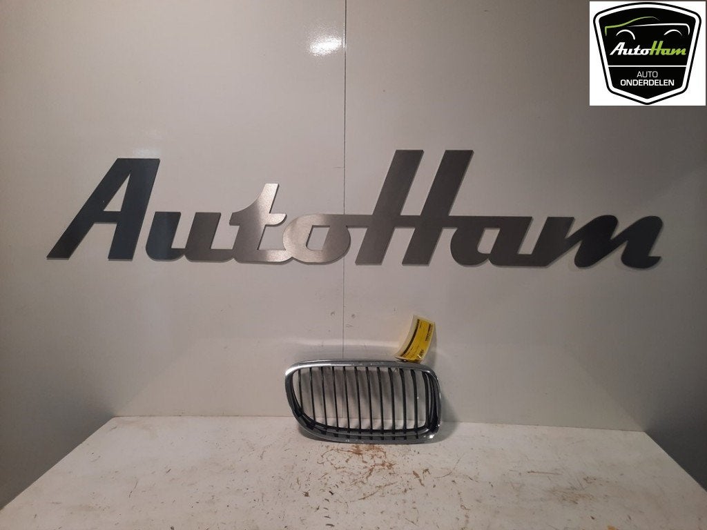GRILLE BMW 3 serie Touring (E91) (|51137201968|), Dhr. J. Ham, Gebruikt, Administratie@autoham.nl, BMW