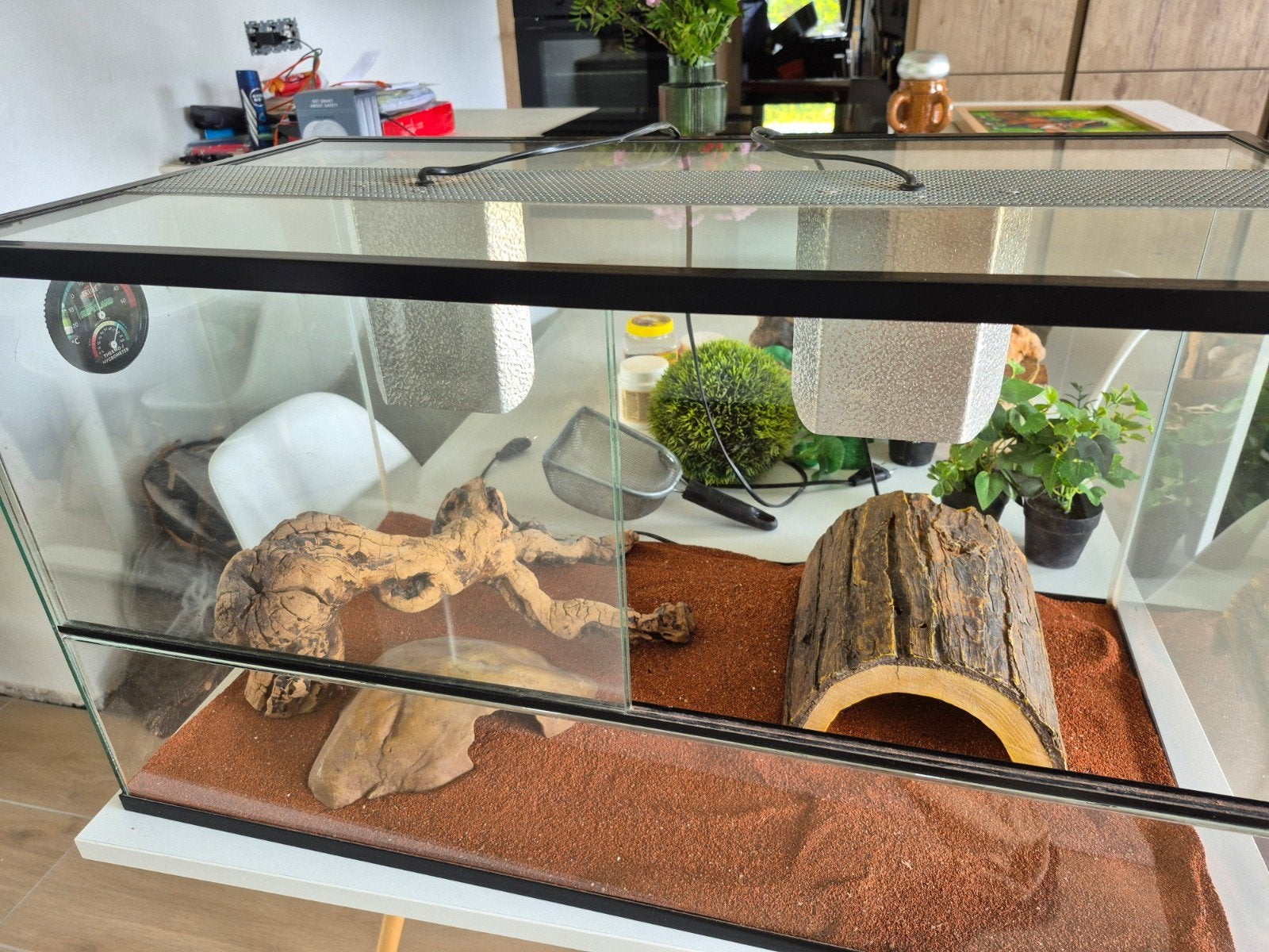 Mooi terrarium met toebehoren, Dieren en Toebehoren, Ophalen