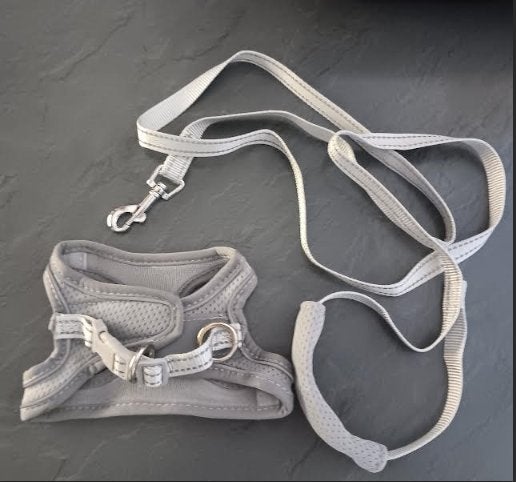 Ensemble harnais & laisse pour chat/chien XXS Neuf, Ophalen of Verzenden, Nieuw, Hondenriem