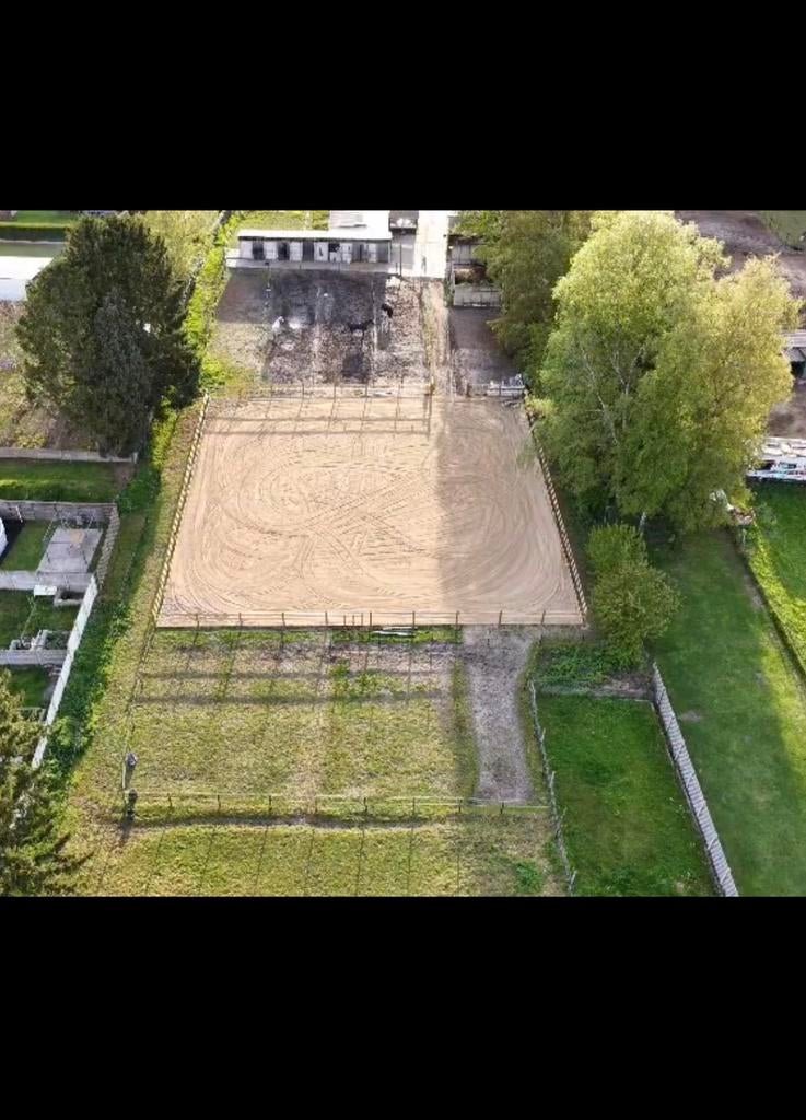 Stalling ge huur, Weidegang, 2 of 3 paarden of pony's