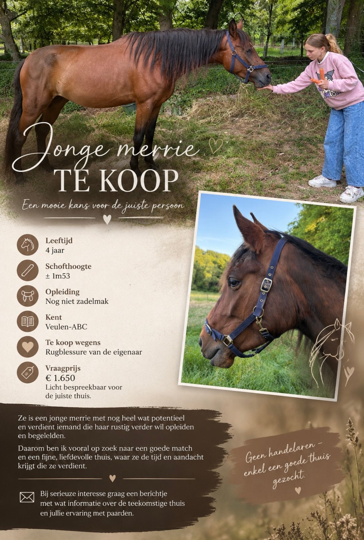 Mooie jonge merrie, Dieren en Toebehoren, Ophalen, Zo goed als nieuw