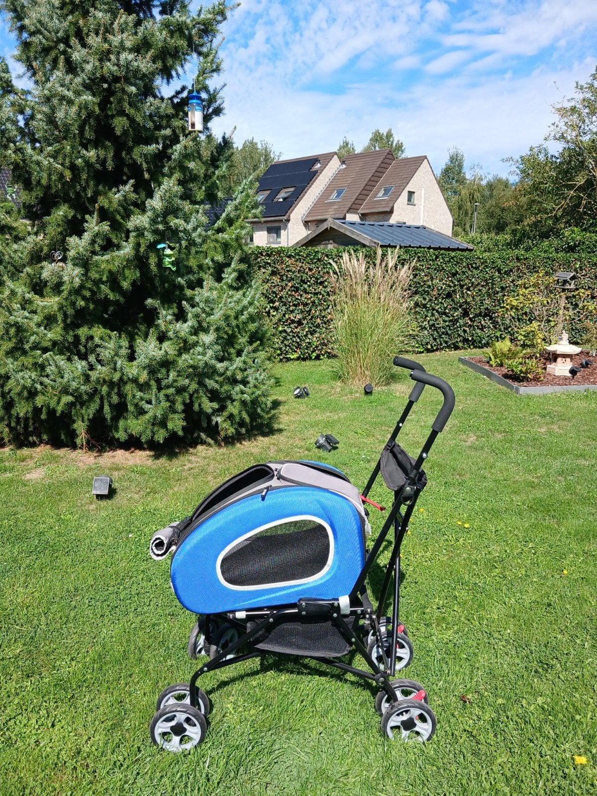 buggy pour petit chien ou chat, Innopet, Enlèvement, Utilisé, Poussette pour chien