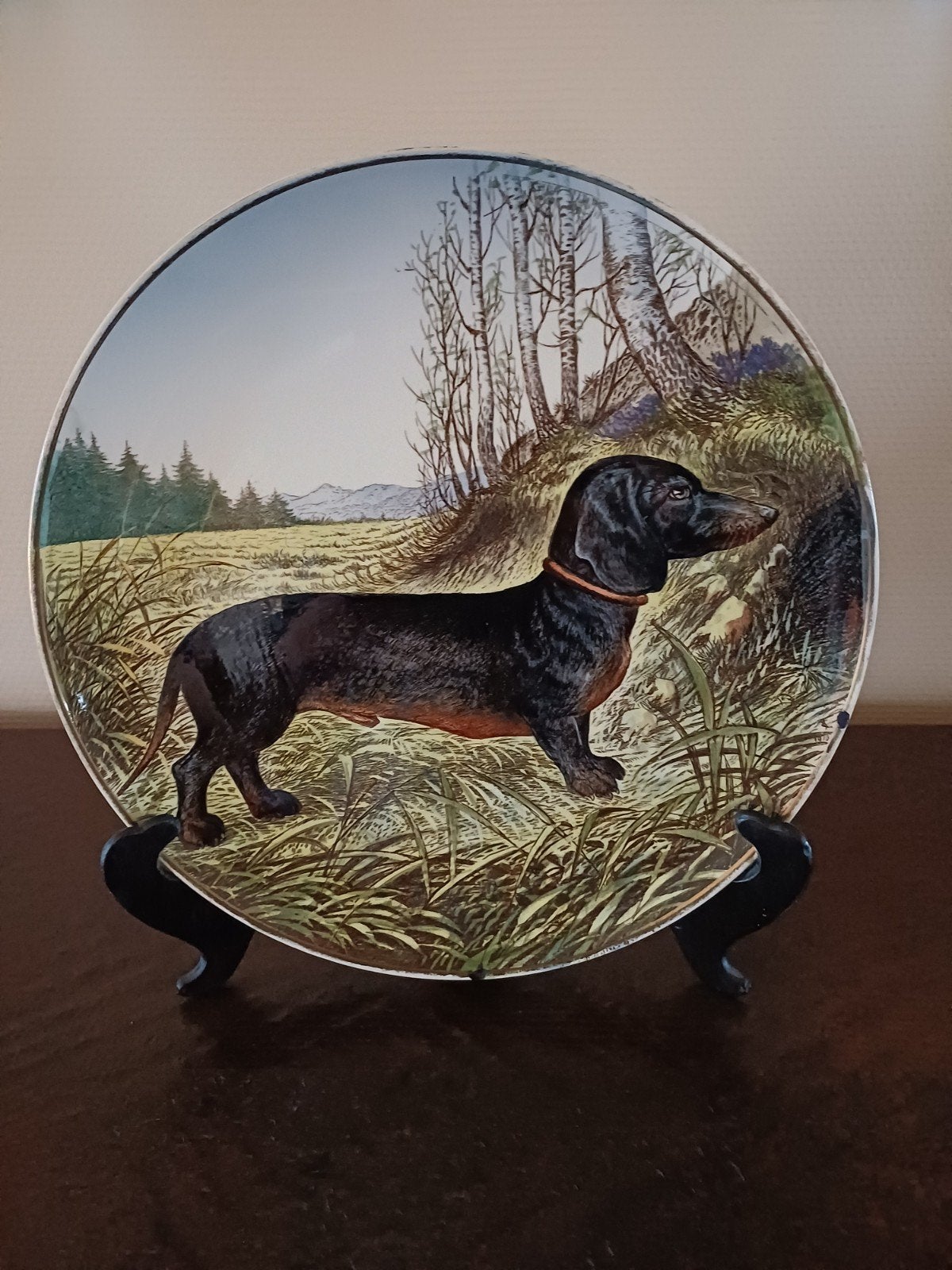 Antieke wandbord van VILLEROY en BOCH, Antiek en Kunst, Ophalen