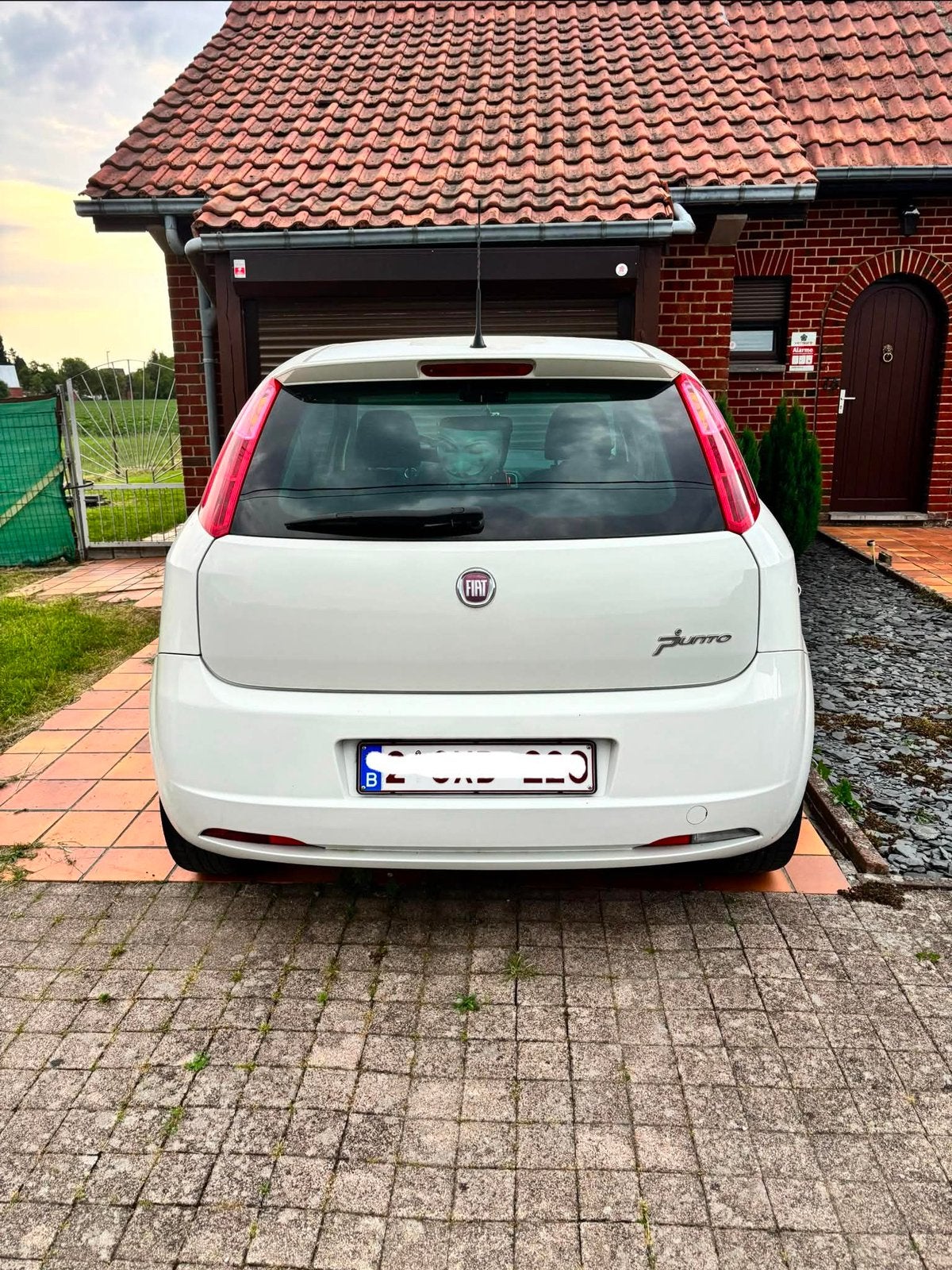 Fiat punto, Autos, Achat, Diesel, Particulier, Punto