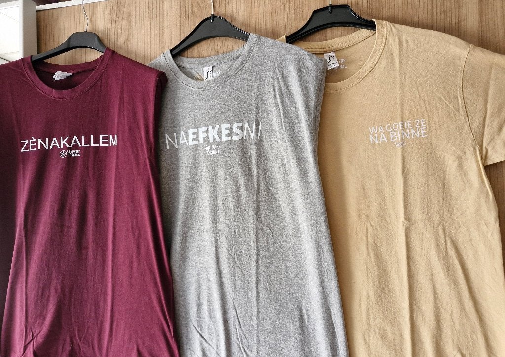 Antwerp Original, Vêtements | Femmes, Manches courtes, Taille 38/40 (M), Enlèvement ou Envoi, Multicolore