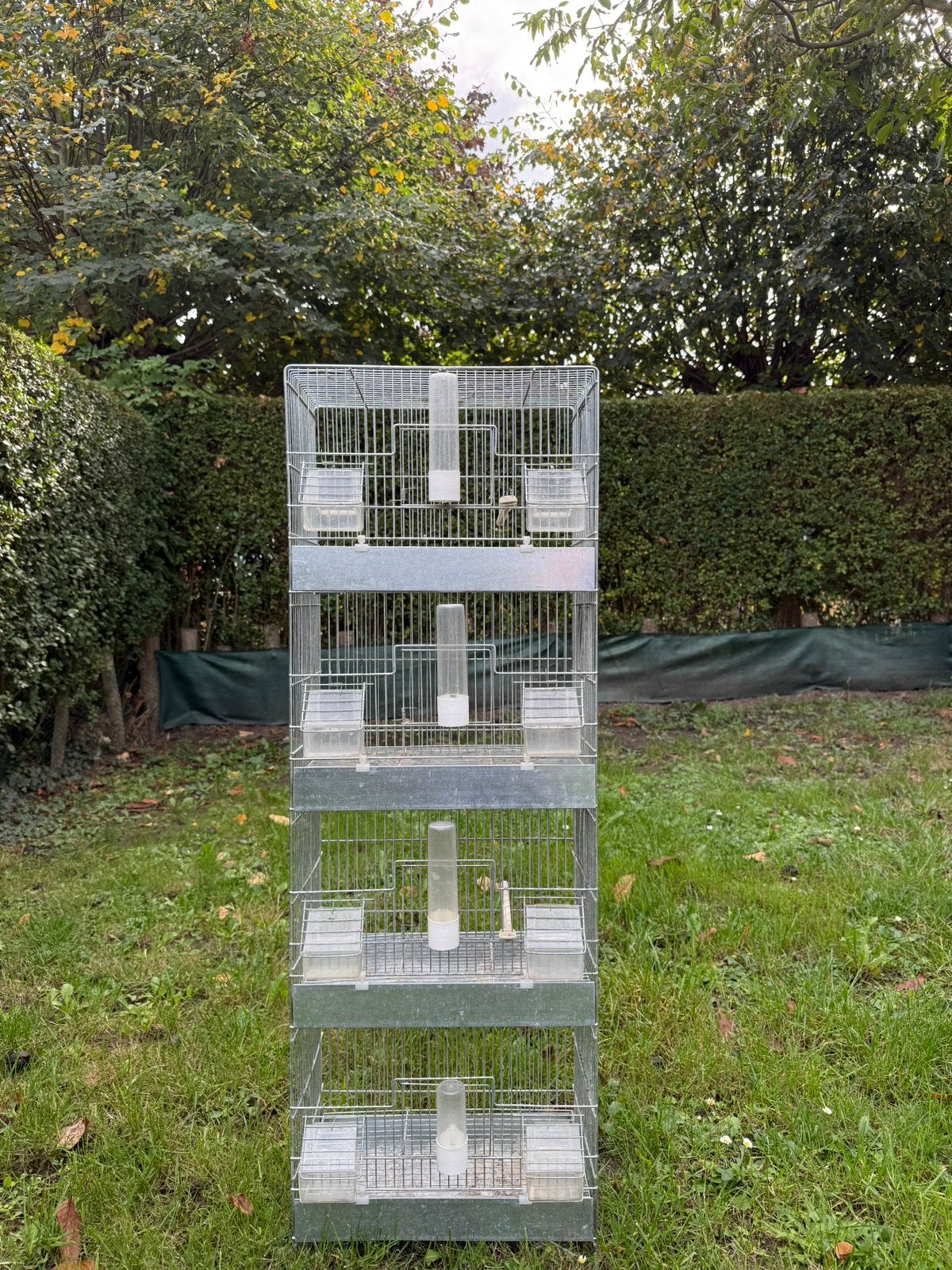 Cage  oiseaux, Dieren en Toebehoren, Ophalen, Zo goed als nieuw