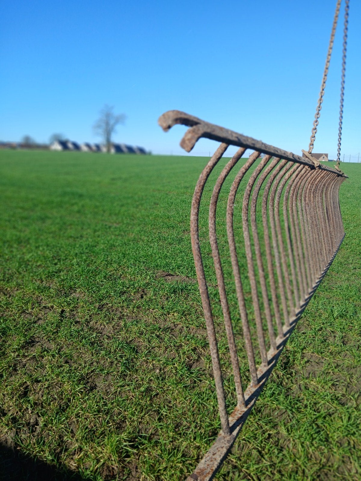hooiruif, Dieren en Toebehoren, Stalling en Weidegang