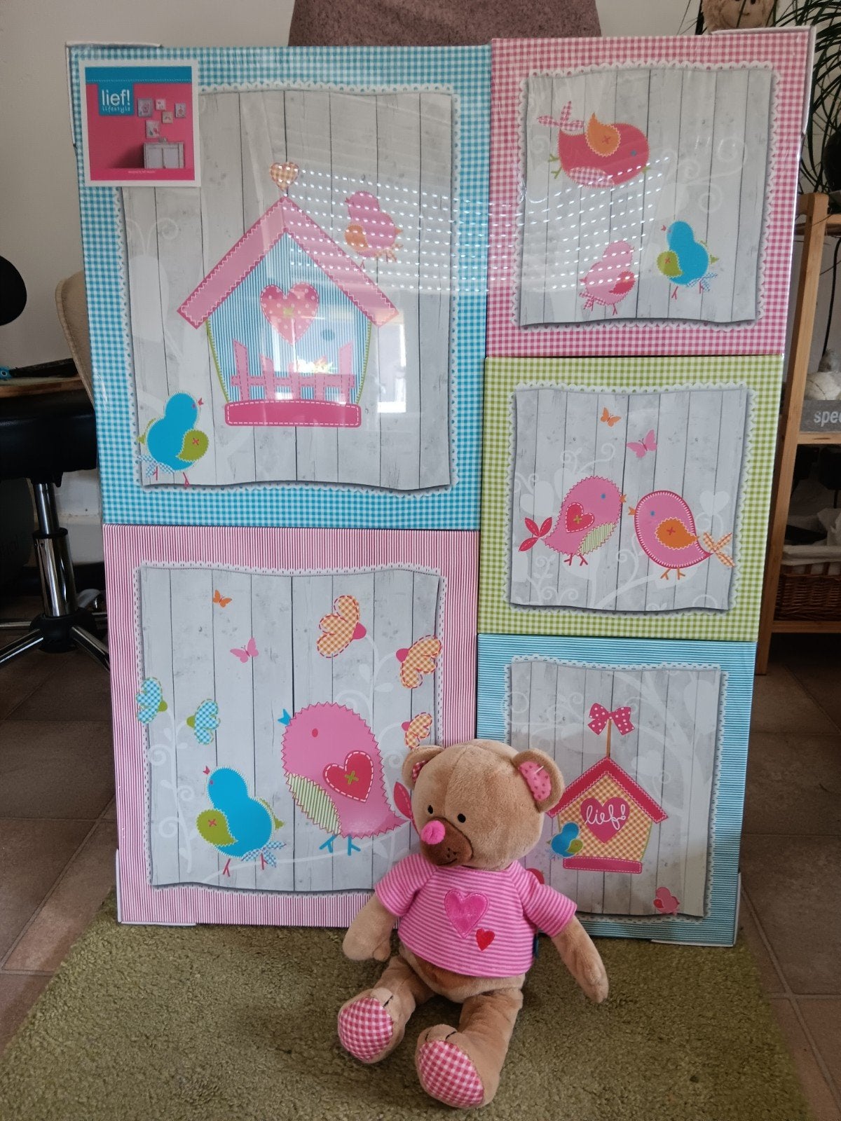 5 nieuwe kaders LIEF! Met nieuwe knuffel, Enlèvement, Neuf
