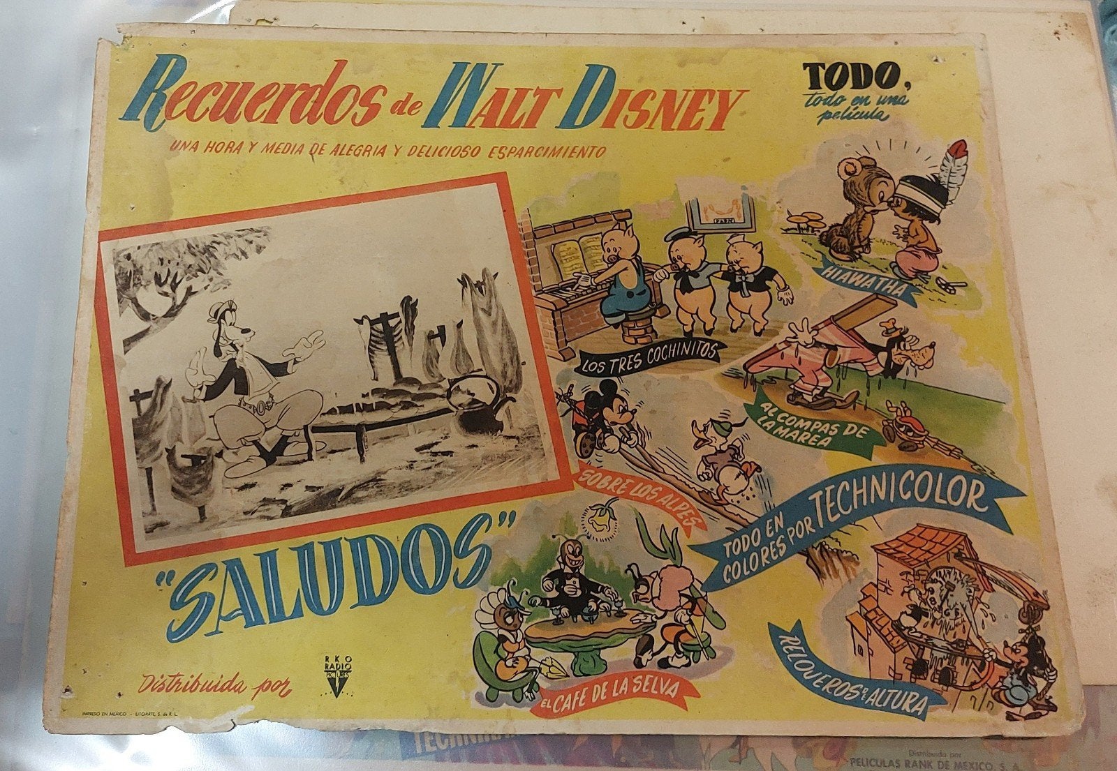 Spaanse lobbykaart Saludos Amigos 1942/1943, Ophalen