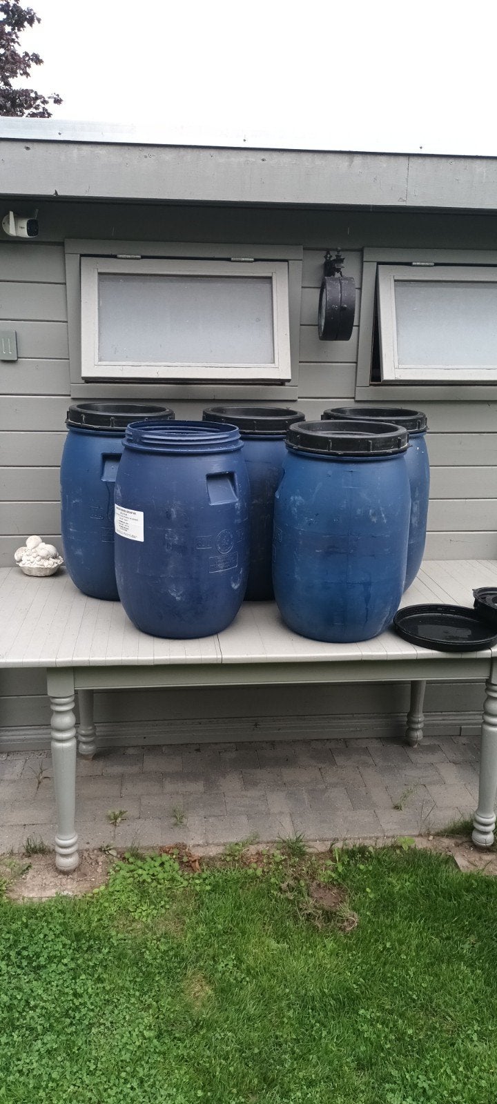 regenton 60 liter  5 kopen  1 gratis, Moins de 75 litres, Enlèvement, Utilisé, Synthétique